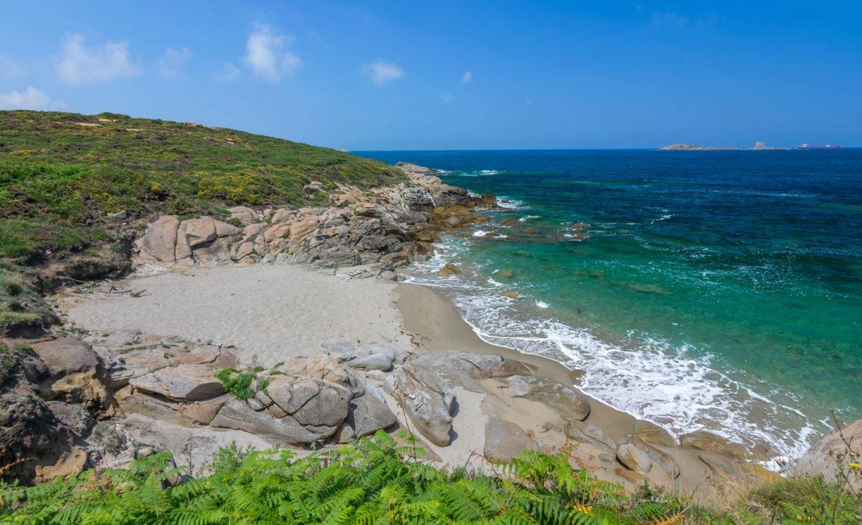 Sandee Area do Porto