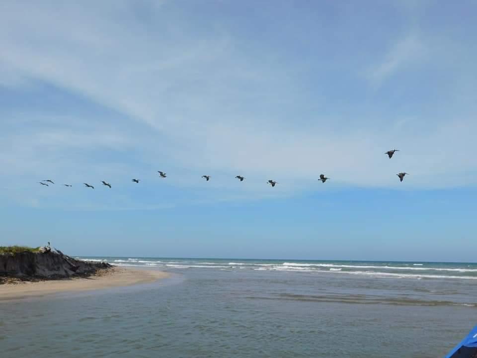 Sandee Campamento Tortuguero Rancho Nuevo