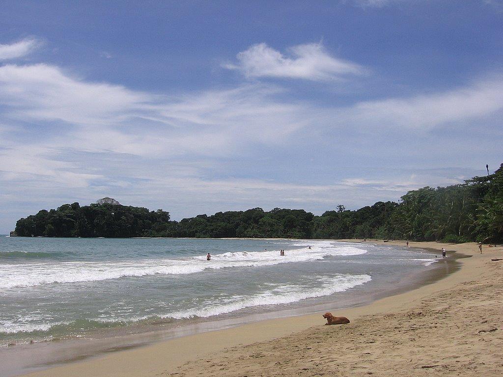 Sandee - HomePage / Bahia Ballena