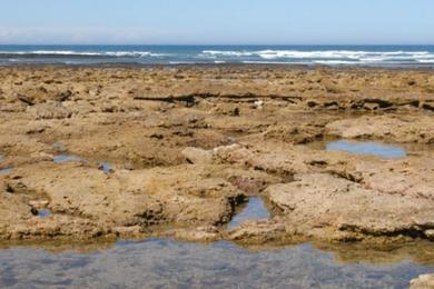 Sandee Playa Los Suecos