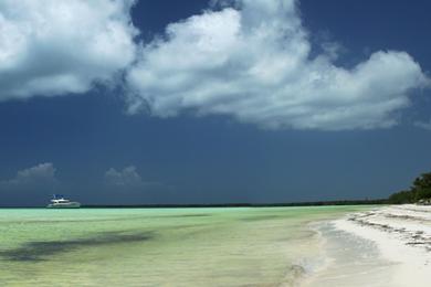 Sandee Playa De Caleton Blanco