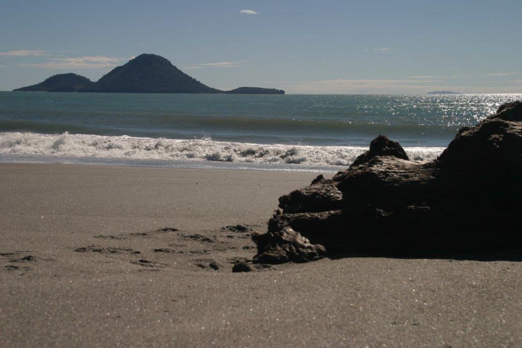 Sandee - HomePage / Whakatane