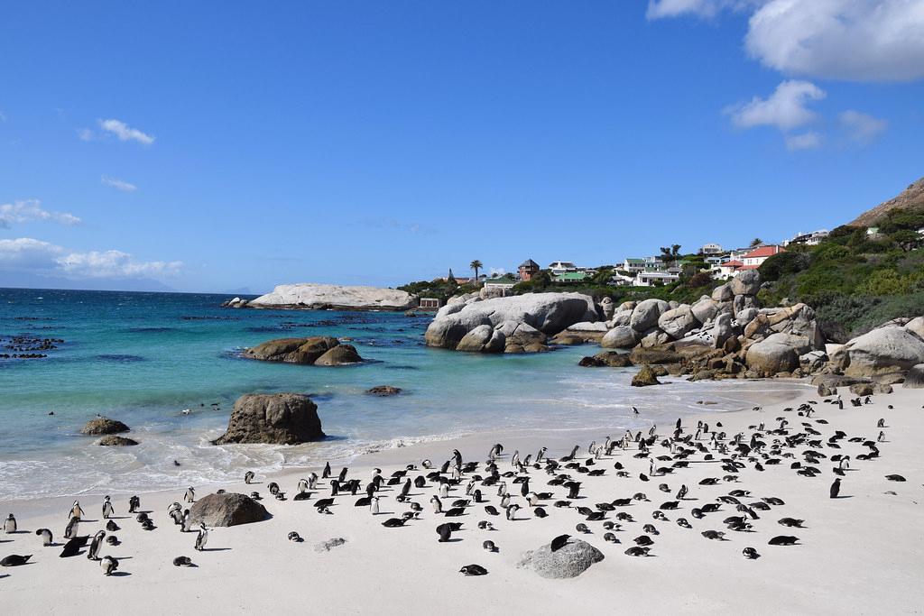 Sandee - HomePage / Western Cape