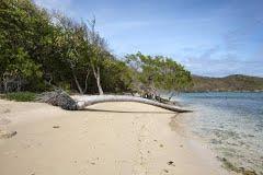 Sandee - HomePage / Bequia
