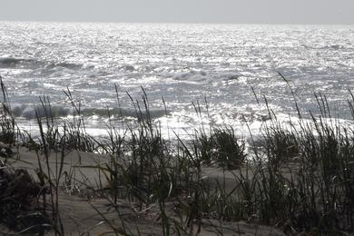 Sandee Ma-Le'L Dunes - South Beach