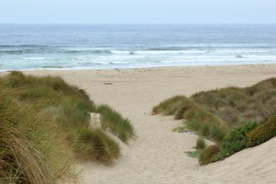 Sandee Kilkenny Beach