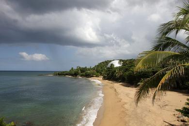 Sandee Sandy Beach