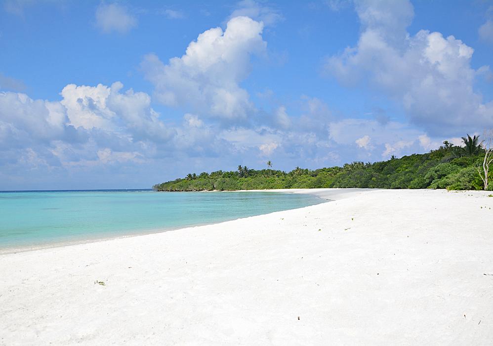 Sandee - HomePage / Hanimaadhoo