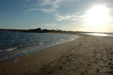 Sandee Conimicut Point Beach