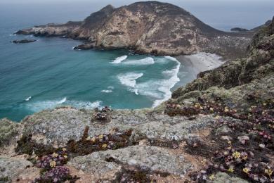 Sandee Sacred Cove Beach