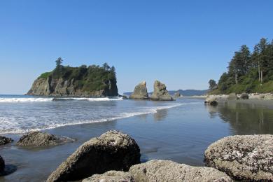 Sandee Ruby Beach, Olympic National Park