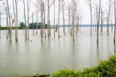 Sandee Poverty Point Reservoir