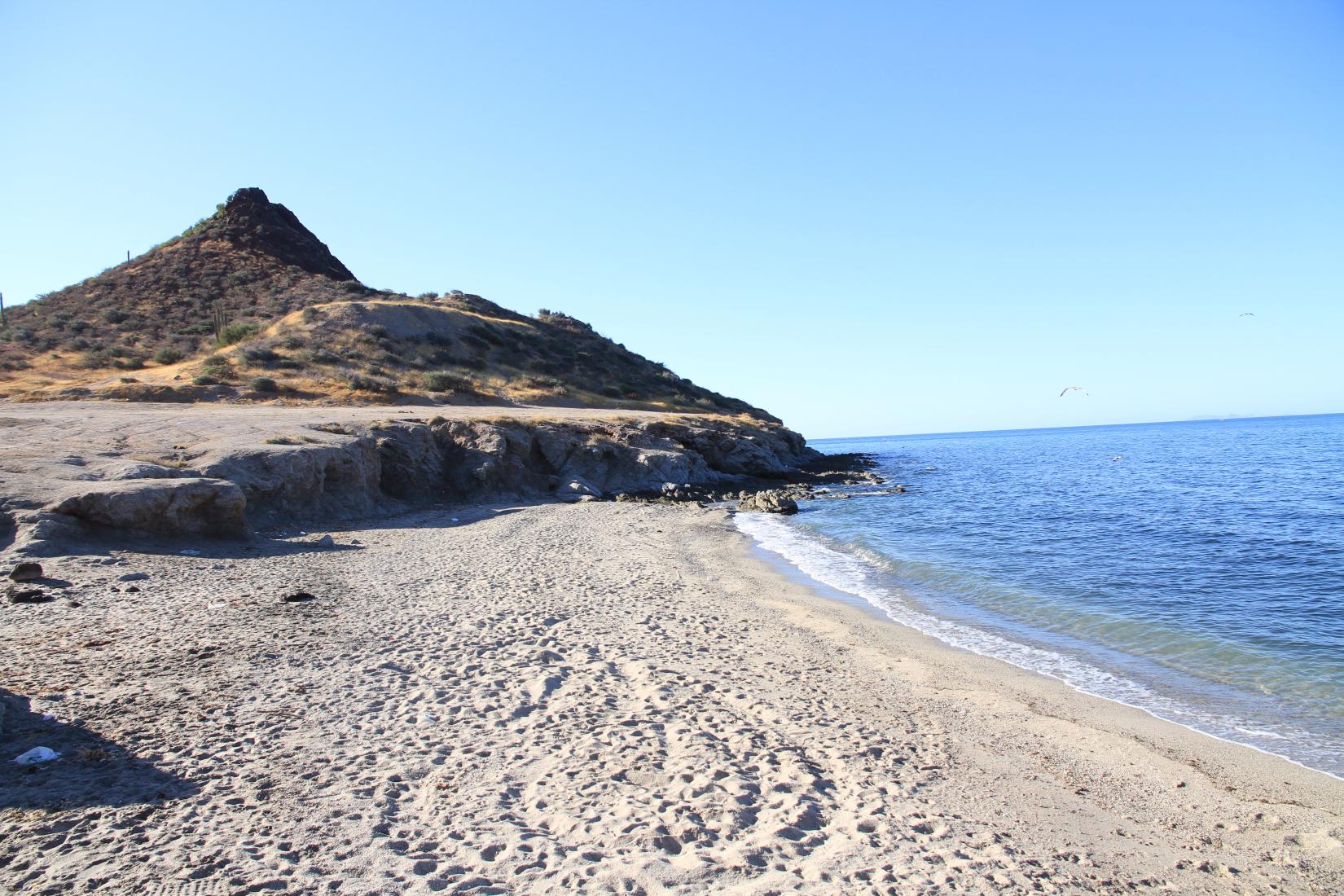 Sandee - HomePage / Bahia de Kino