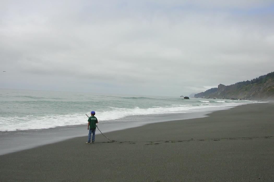 Sandee Carruthers Cove Beach