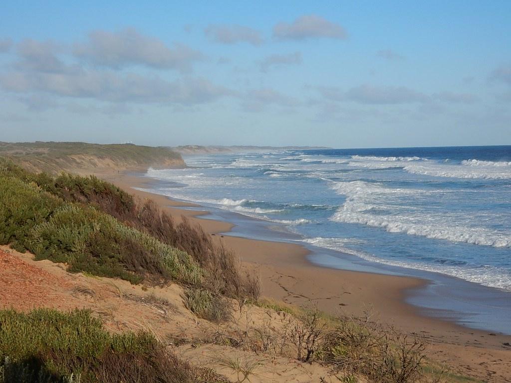 Sandee - HomePage / Surf Beach