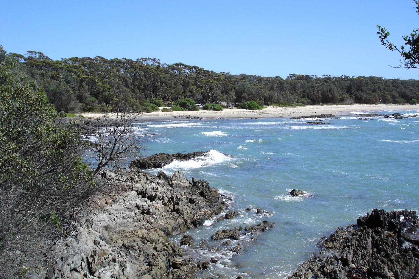 Sandee - HomePage / Cape Conran