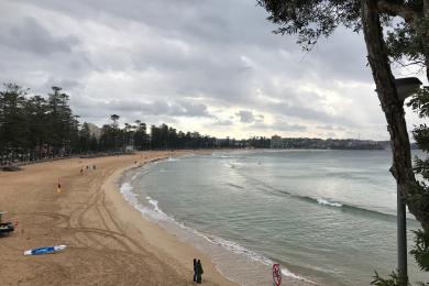 Sandee Shelly Beach