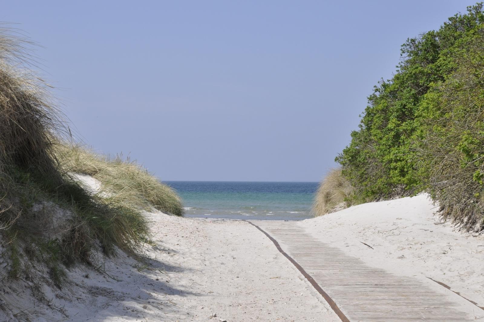 Sandee - HomePage / Sjaelland
