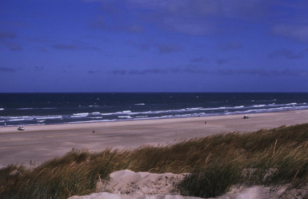 Sandee - HomePage / Nordjylland
