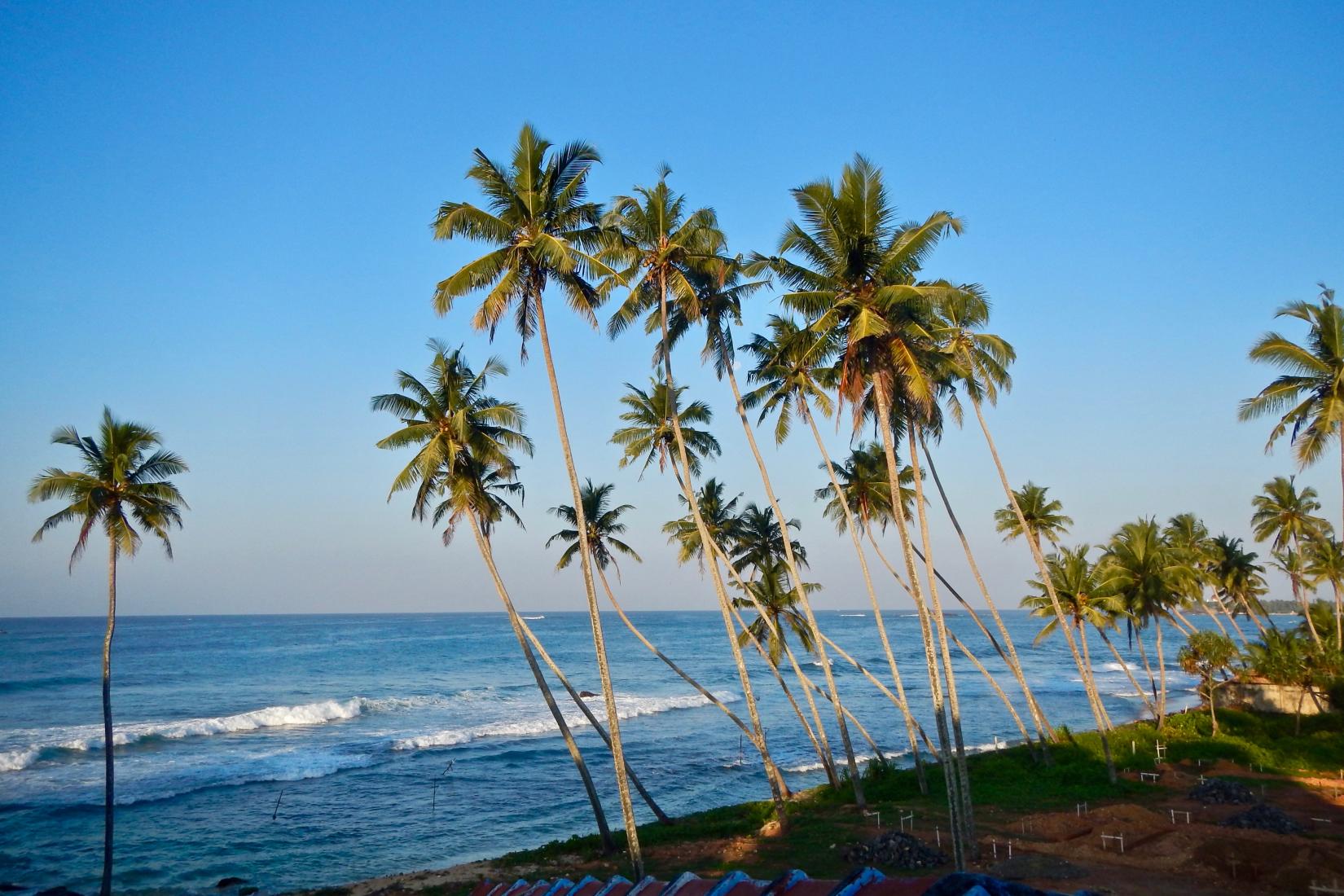 Sandee - HomePage / Unawatuna