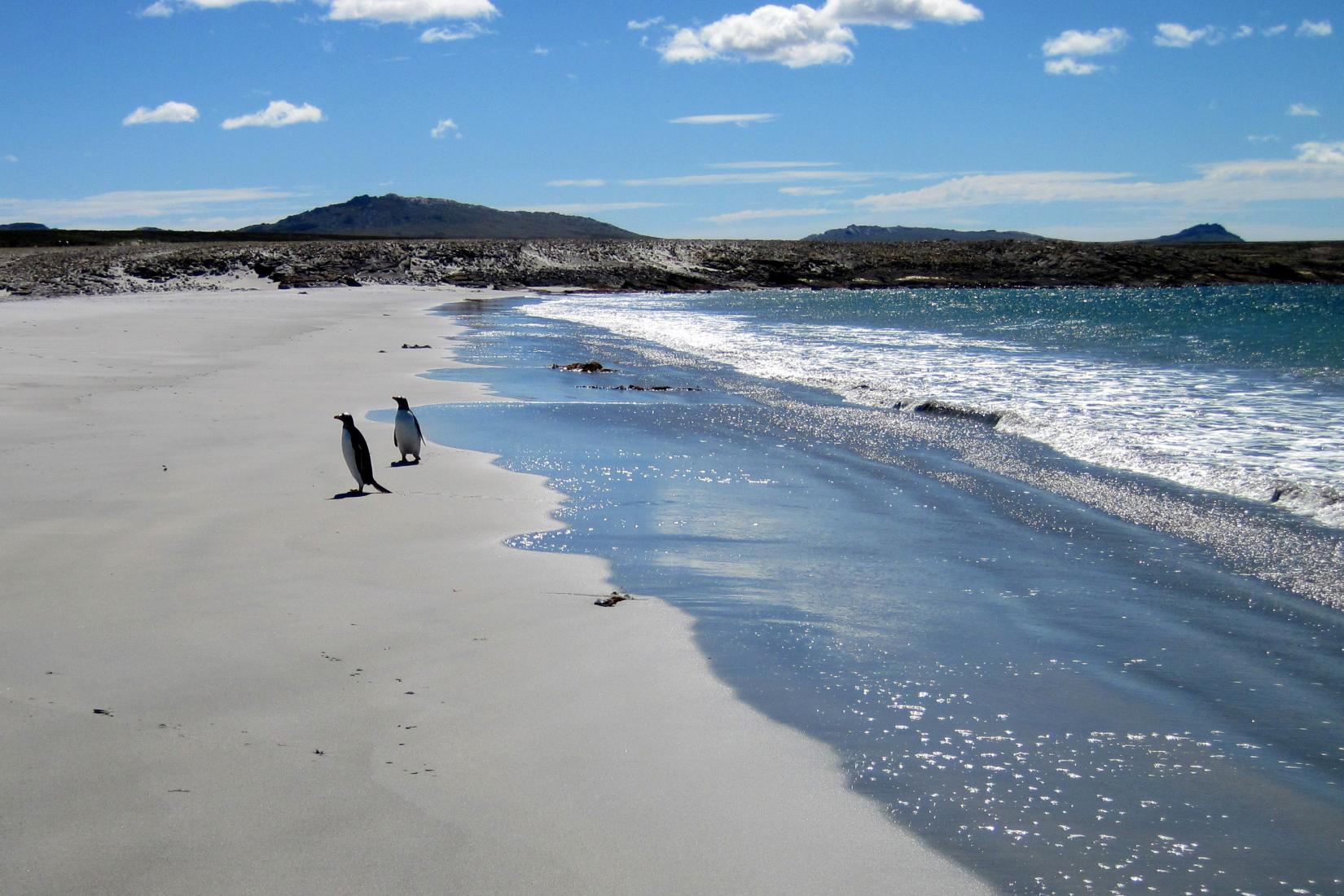 Sandee - HomePage / Bluff Cove