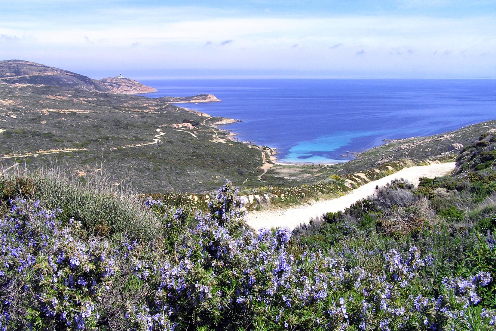 Sandee - HomePage / Calvi