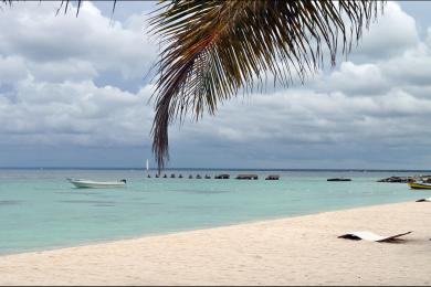 Sandee Isla Saona