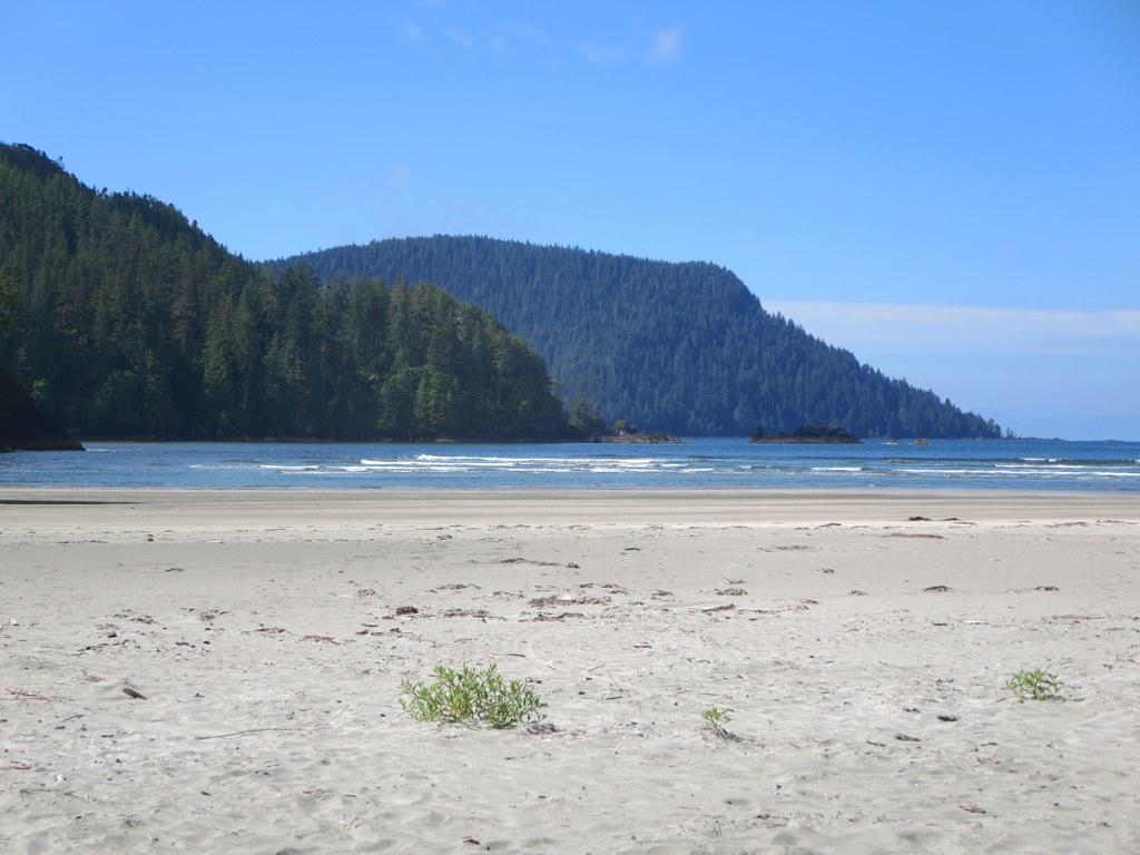 Sandee - HomePage / Area B Quatsino Sound Cape Scott