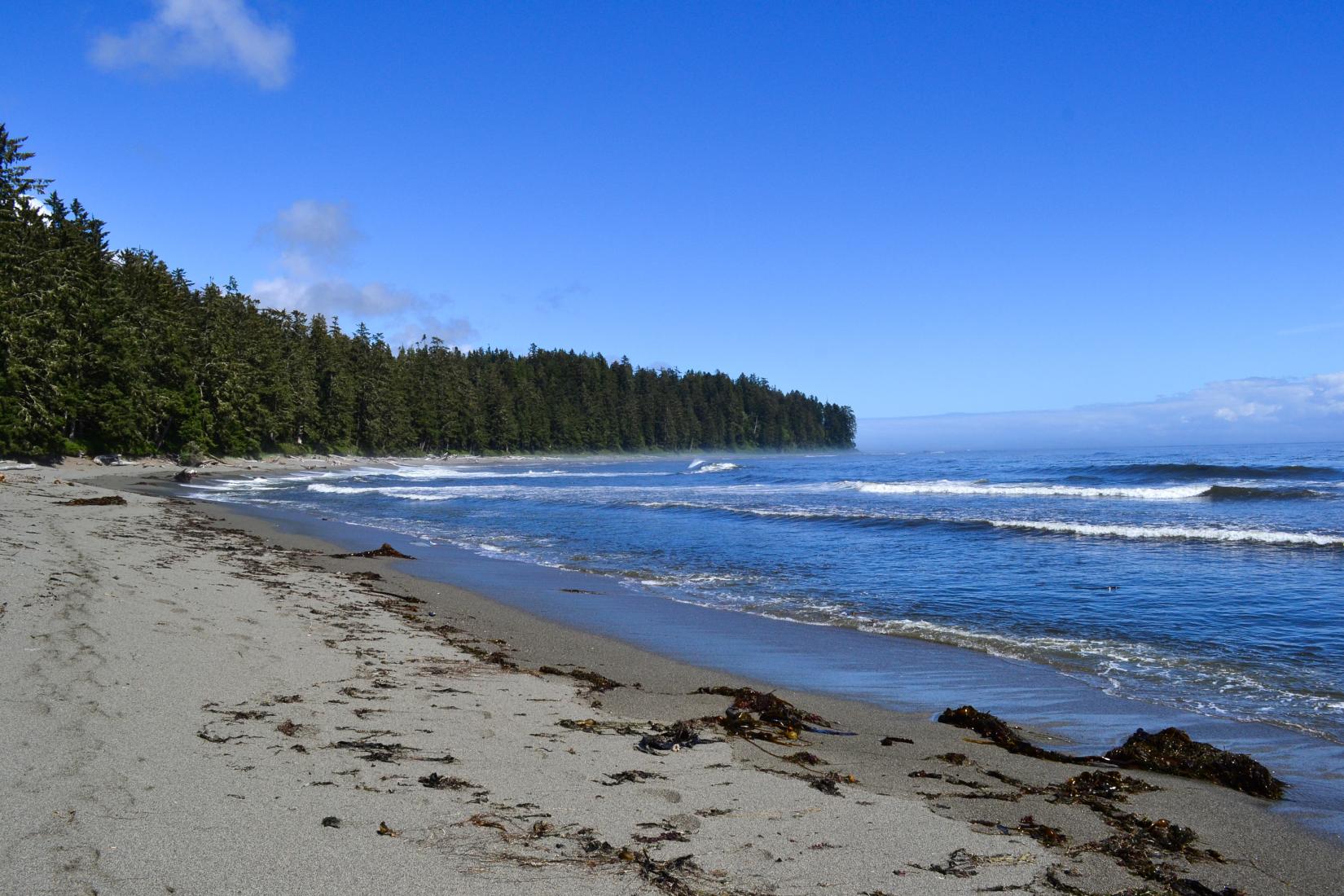 Sandee - HomePage / Area D Cowichan Bay