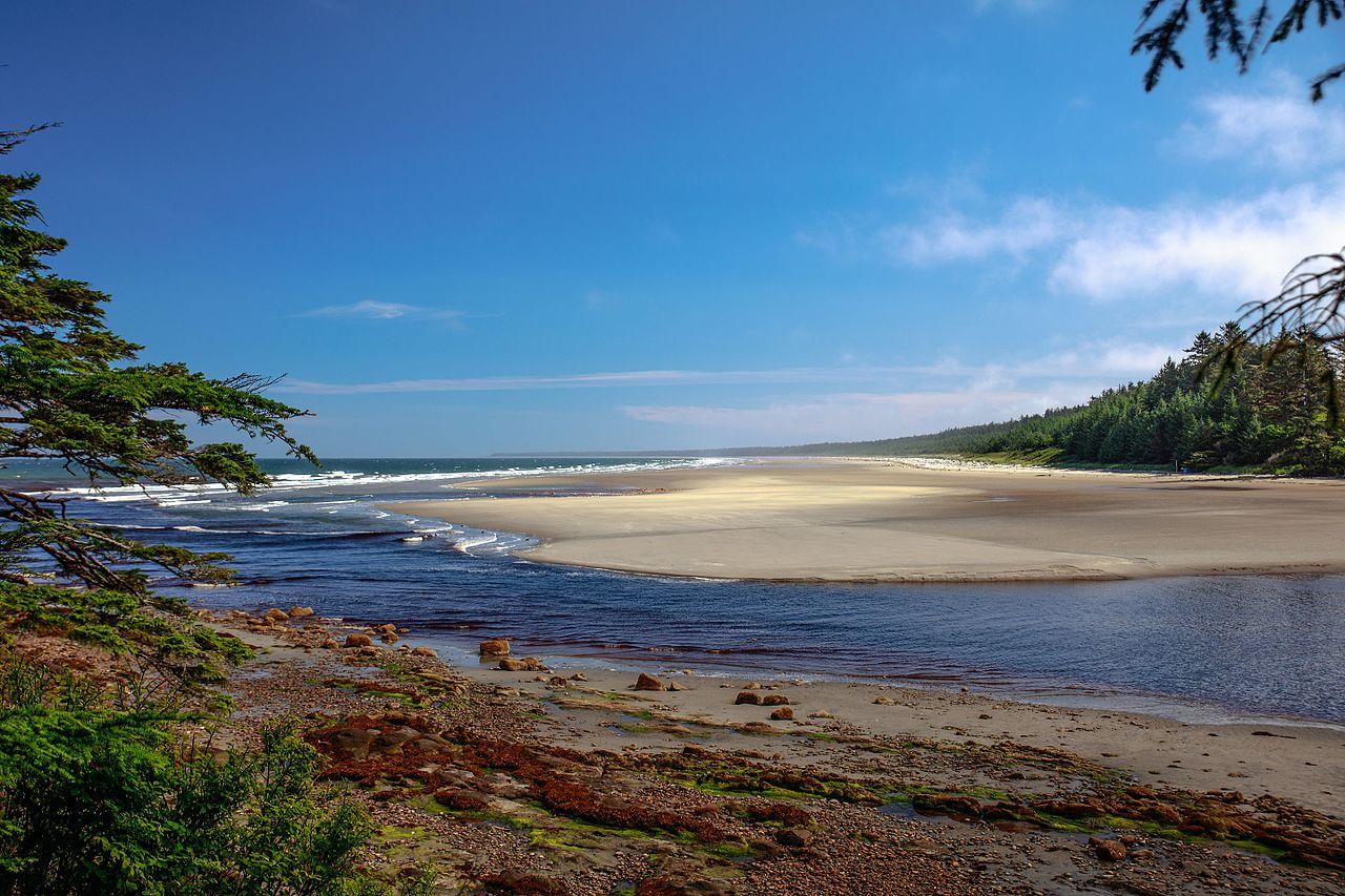 Sandee - HomePage / Area D Graham Island