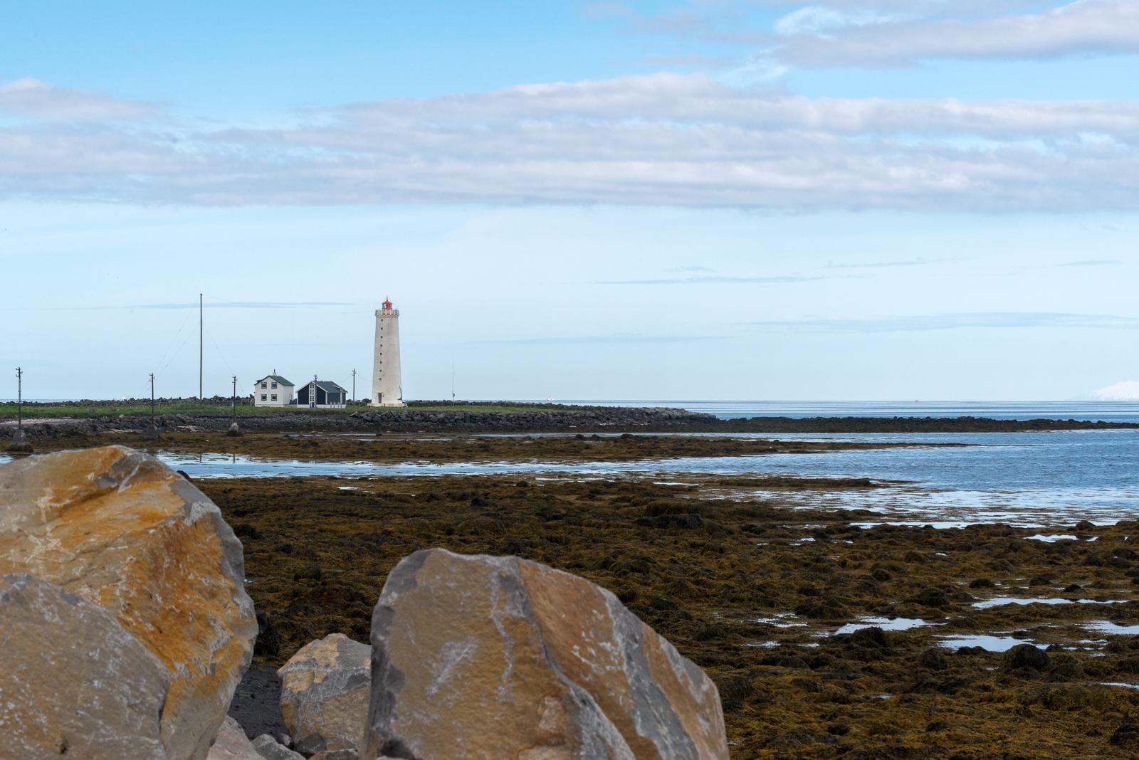 Sandee - HomePage / Seltjarnarnesbar