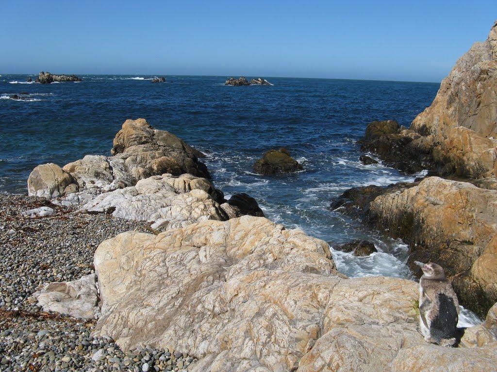 Sandee - HomePage / Cabo Blanco
