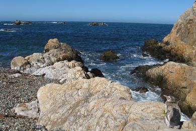 Sandee Cabo Blanco