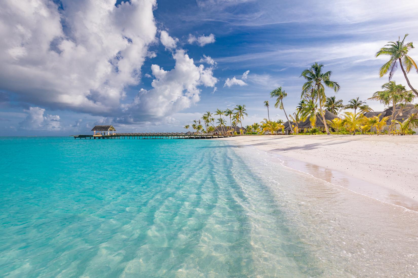 Sandee - HomePage / Bandidhoo