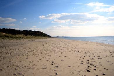 Sandee Saugatuck Dunes State Park