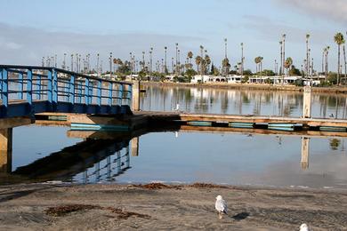 Sandee Mission Bay, De Anza Cove