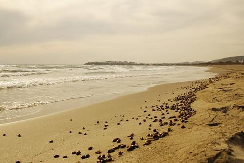 Sandee - HomePage / Ormos Agiou Ioannou