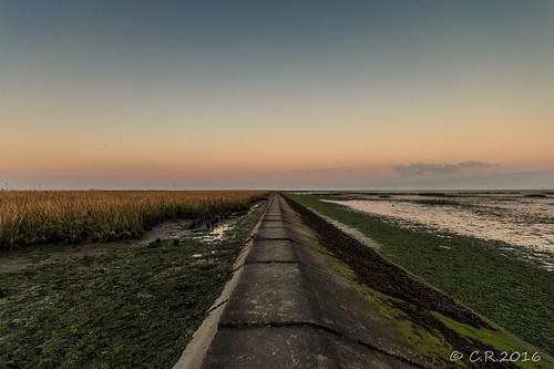 Sandee - HomePage / Wurster Nordseekuste