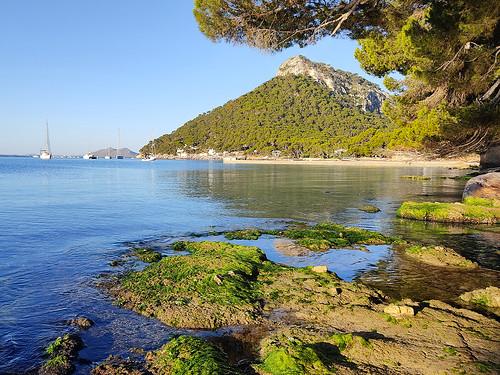 Sandee - HomePage / Port de Pollenca