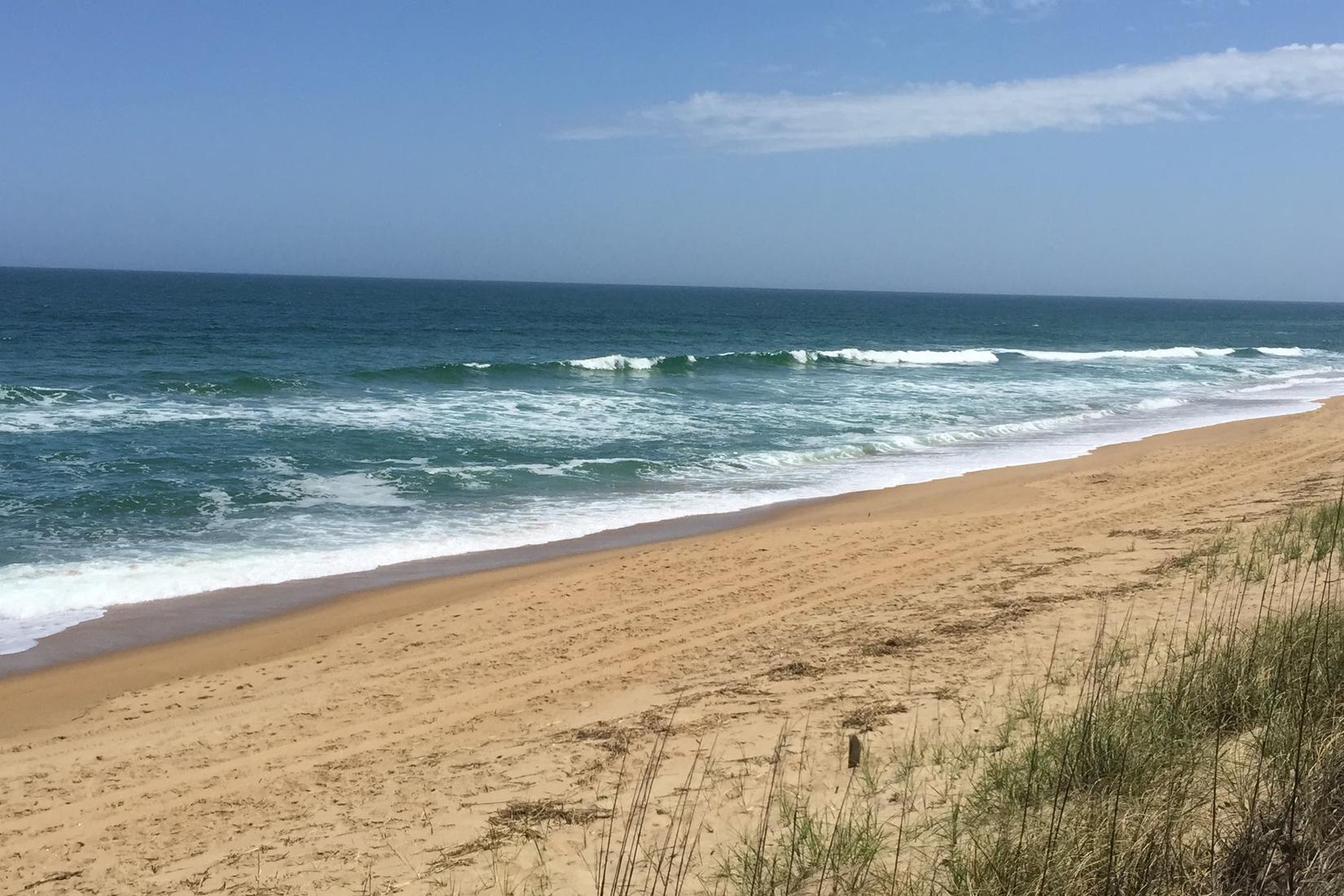 Sandee - HomePage / Kitty Hawk