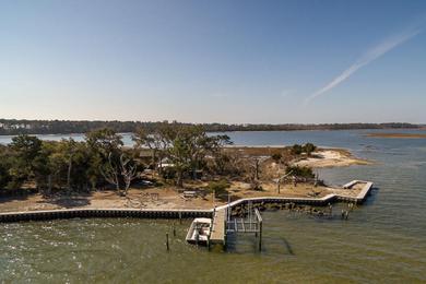 Sandee Brown's Island Public Beach