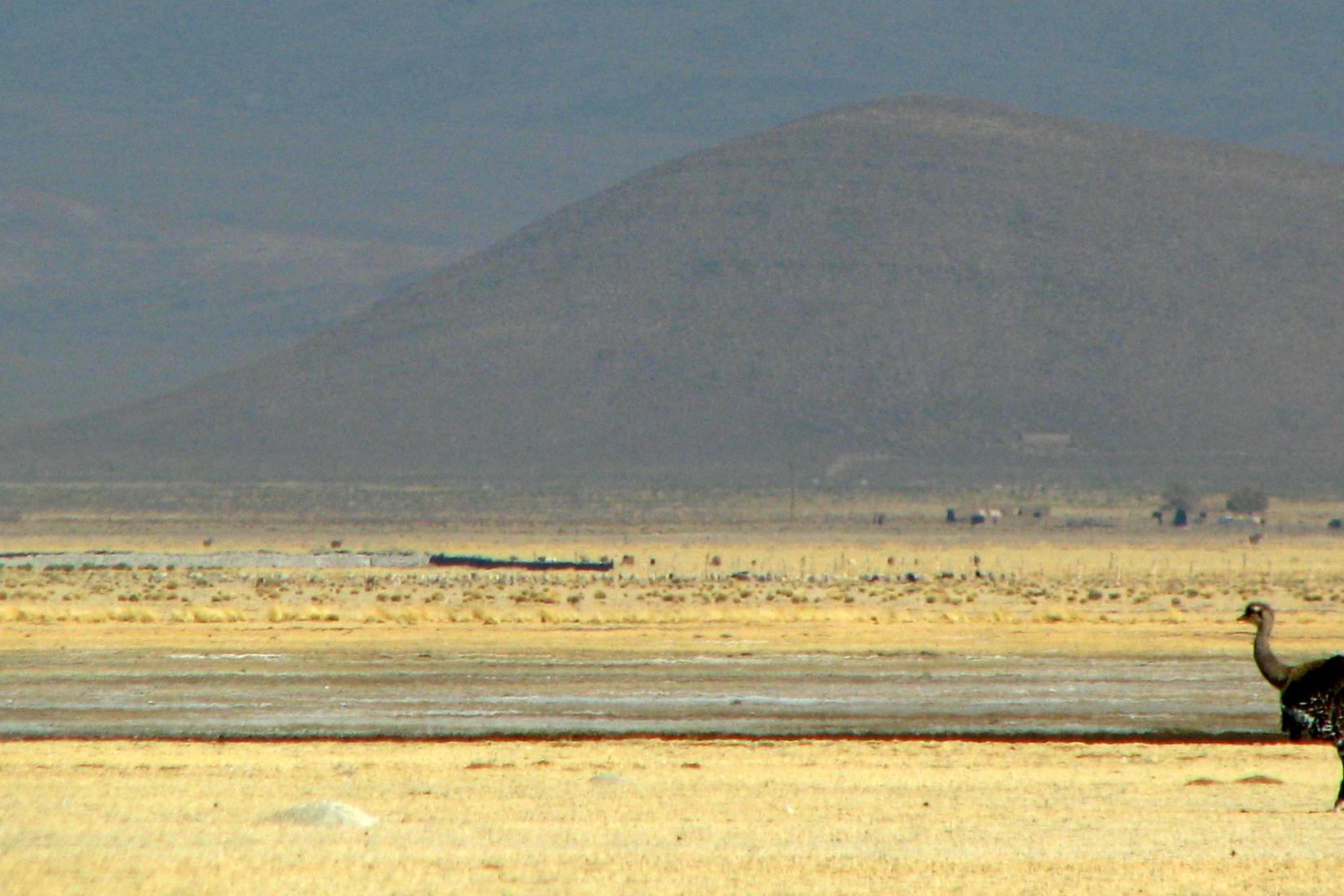 Sandee - HomePage / Lagunillas