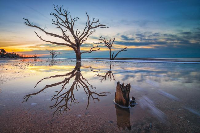 Sandee - HomePage / Edisto Island
