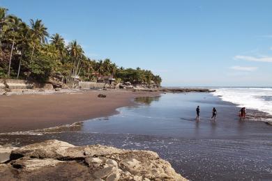 Sandee Playa El Zonte