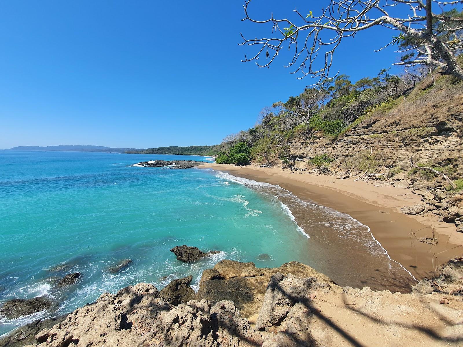 Sandee Playa Cocalito
