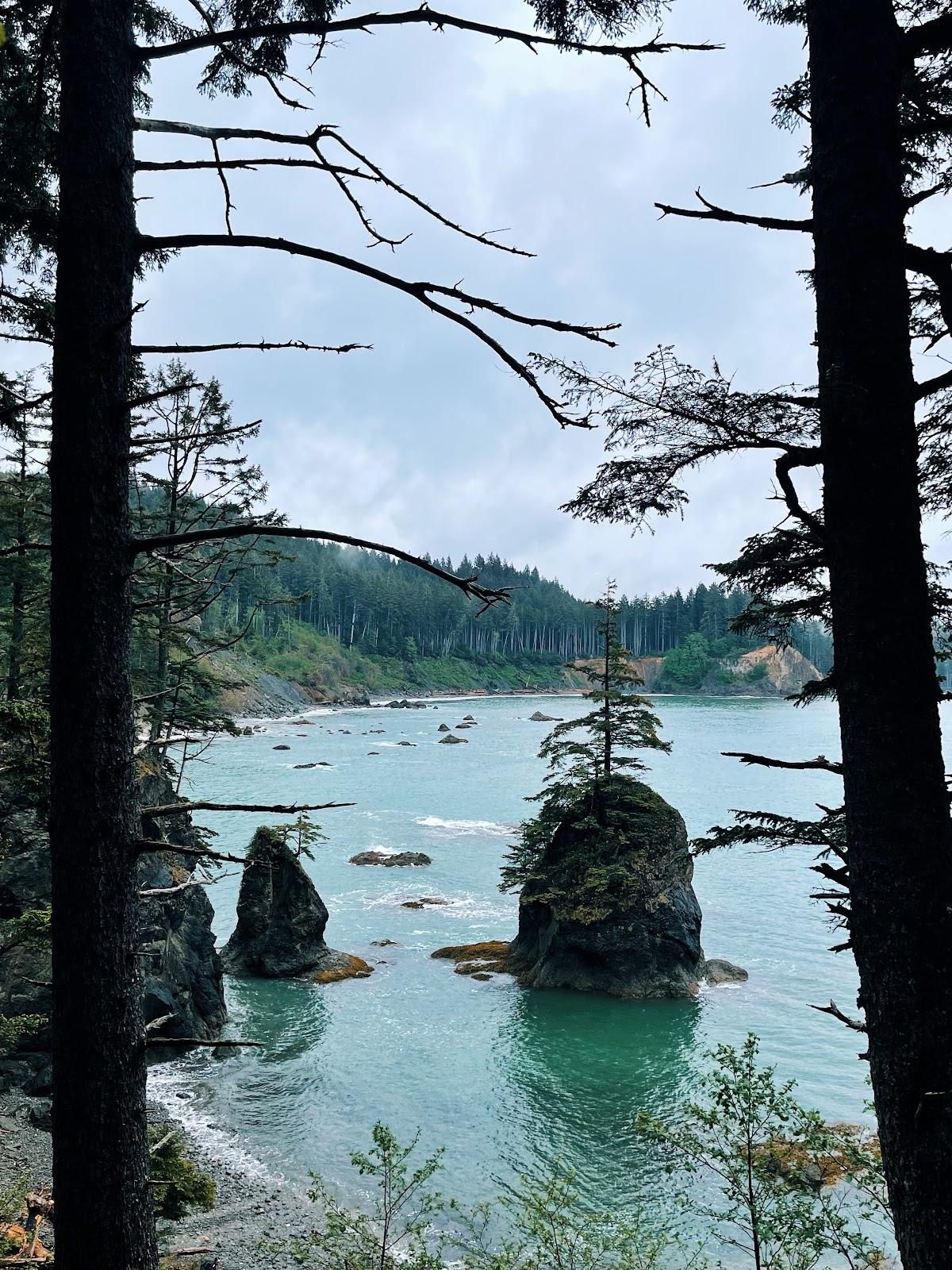 Sandee Taylor Point