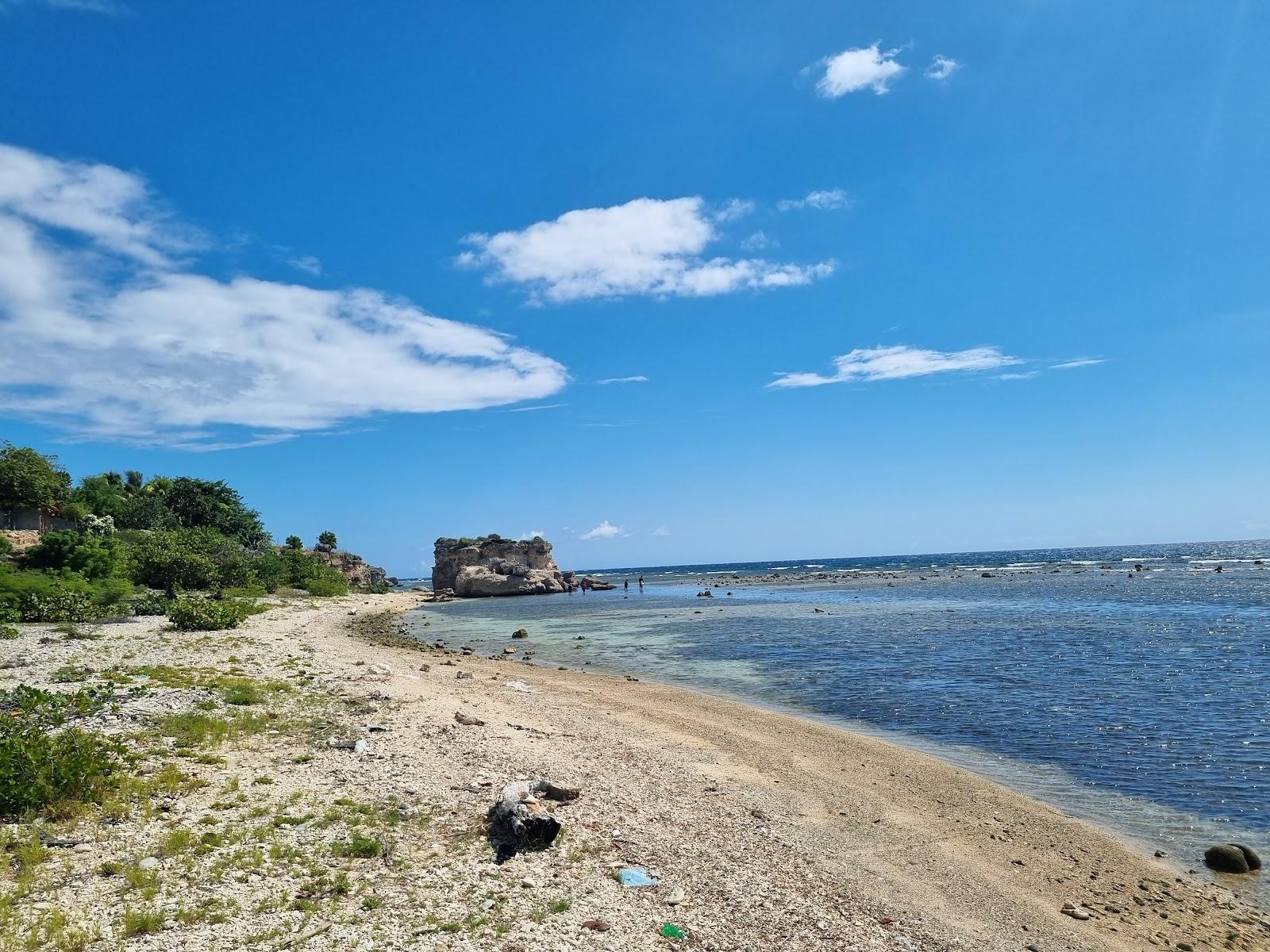 Sandee - HomePage / Tortuguilla