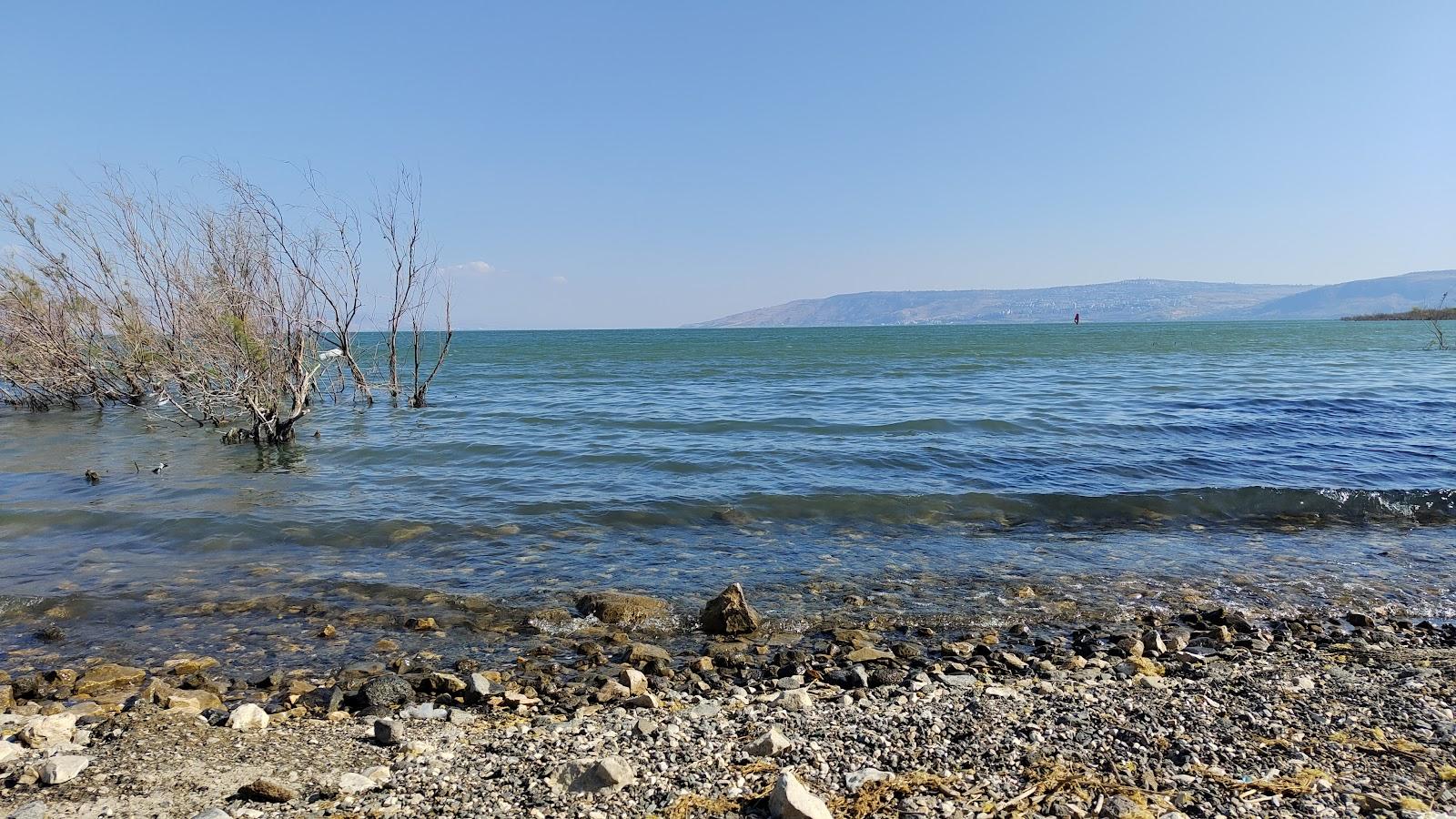 Sandee Kfar Nahum Beach