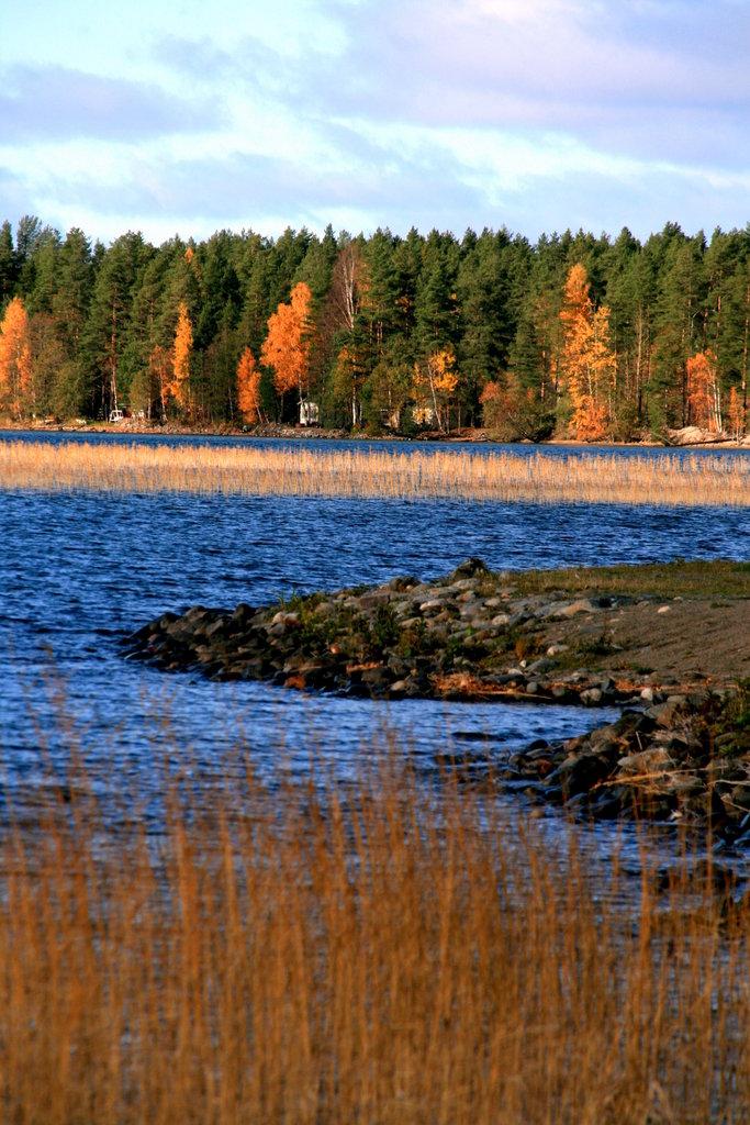 Sandee - HomePage / Hayrynlahti