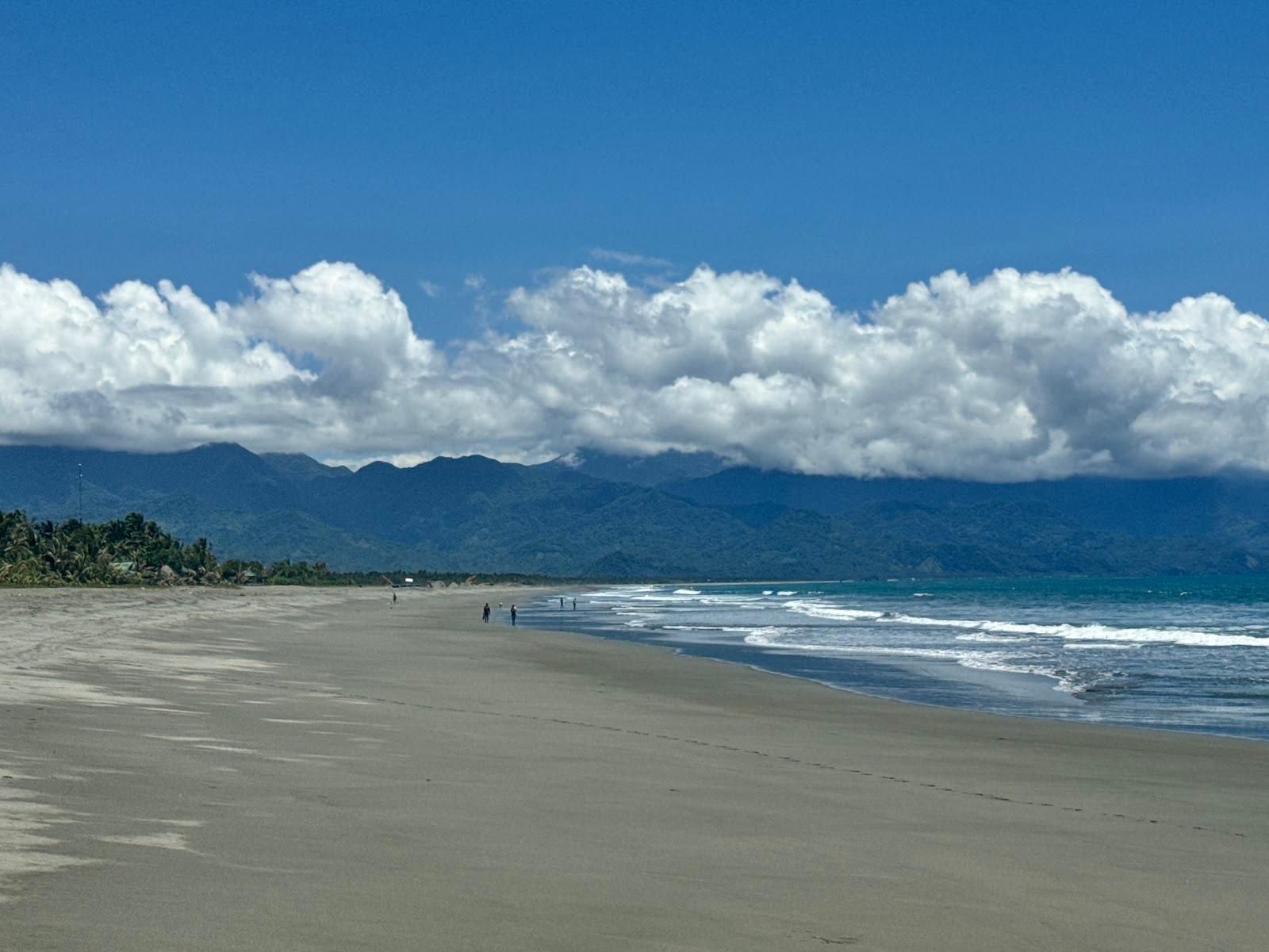 Sandee Shamira Jones Coast